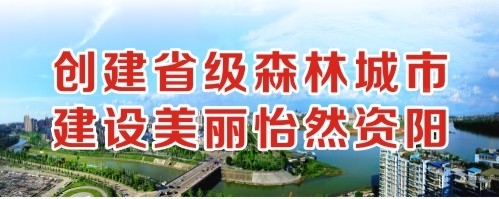 中国人操美国人啊啊啊啊啊创建省级森林城市 建设美丽怡然资阳